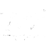 Dzonot.logowhite